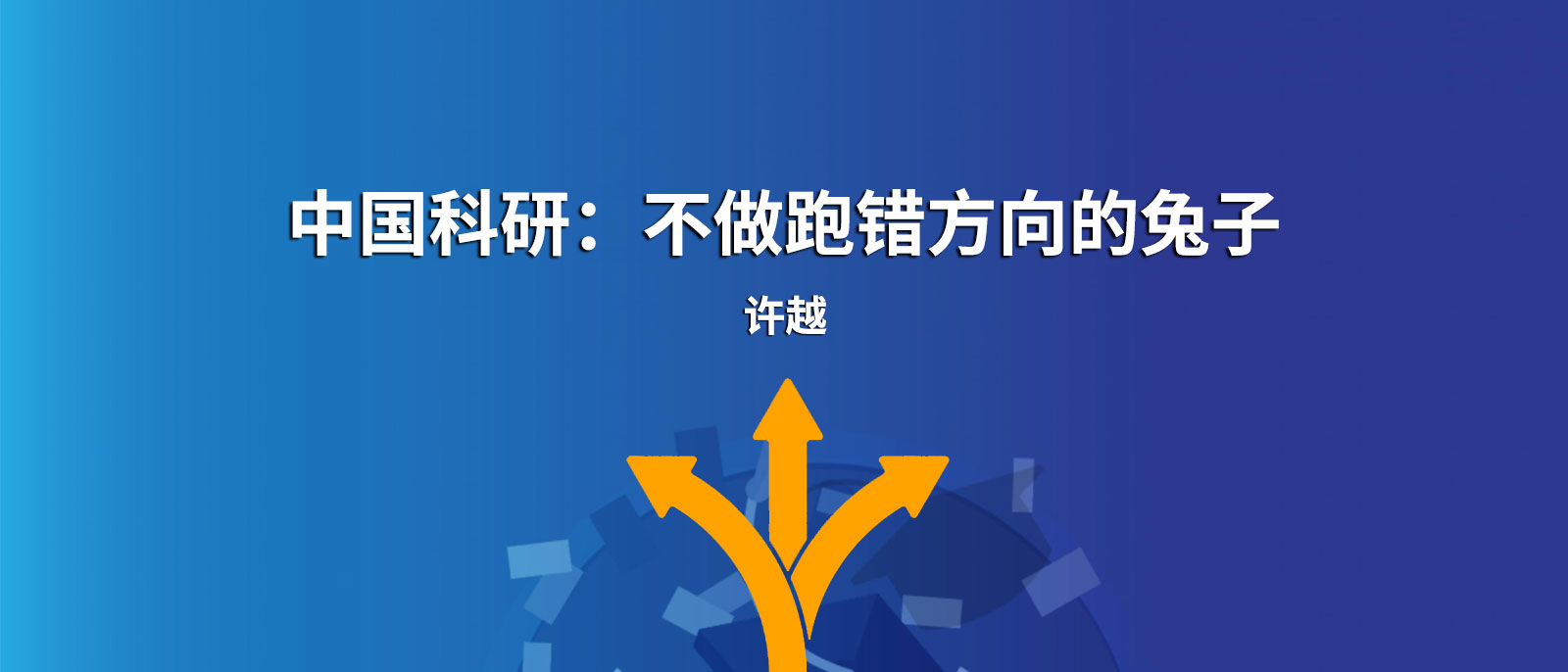 不做跑錯方向的兔子